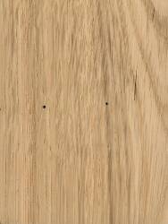 Дуб лировидный (Overcup Oak)
