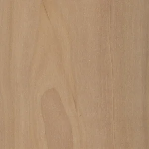 Яблоня