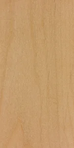 Андская ольха