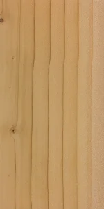 Атласский кедр