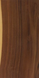 Бенди