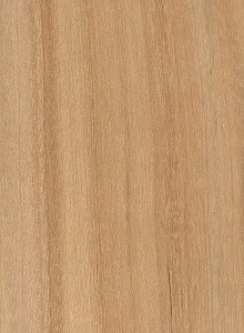 Береза речная