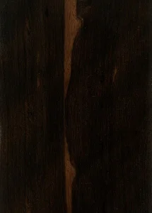 Цейлонский эбен