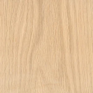 Дуб черёмуховый (Cherrybark Oak)