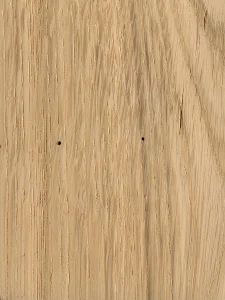 Дуб лировидный (Overcup Oak)
