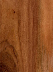 Родезийский тик