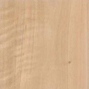 Грей Бокс