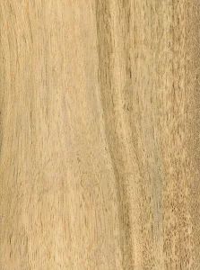 Хурма