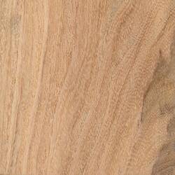 Гледичия обыкновенная (Honey Locust)
