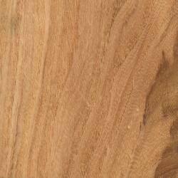 Гледичия обыкновенная (Honey Locust)