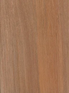 Охиа