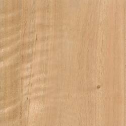 Крапчатый эвкалипт (Spotted Gum)