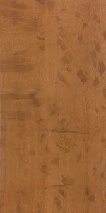 Скальный шеоак