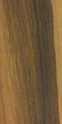Гваяковое дерево (Lignum Vitae)