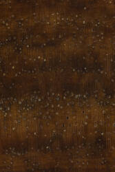 Гваяковое дерево (Lignum Vitae)