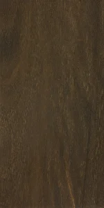 Жёлтый сильвербалли